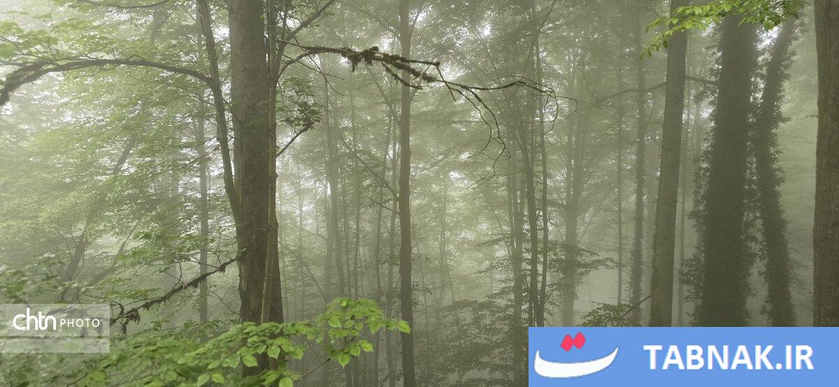 جاده ای میان ابرها