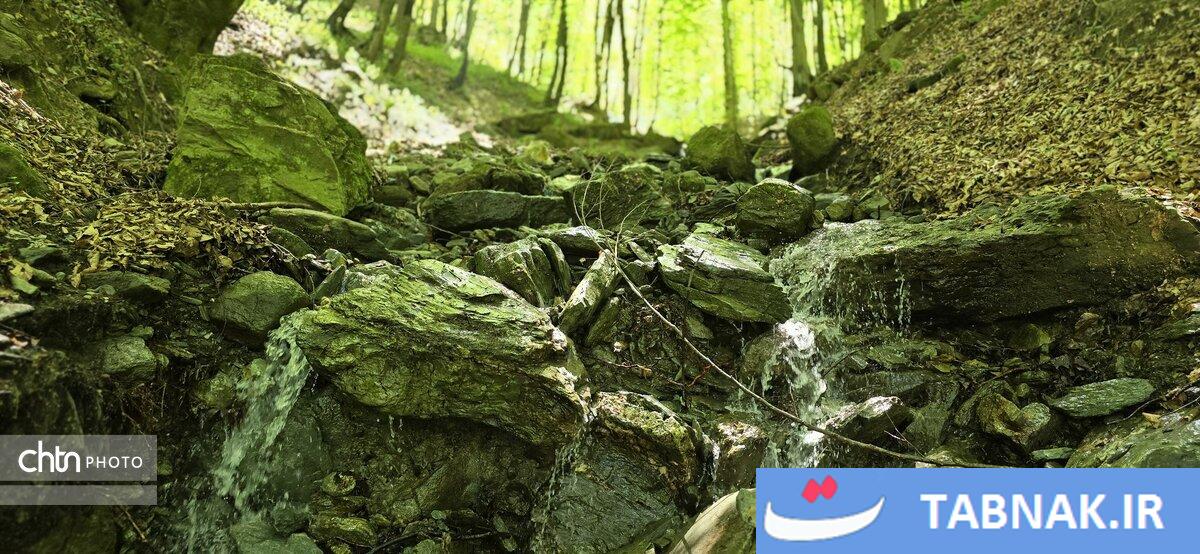 جاده ای میان ابرها