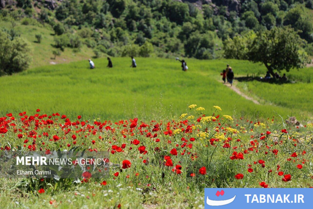 طبیعت بکر مریوان