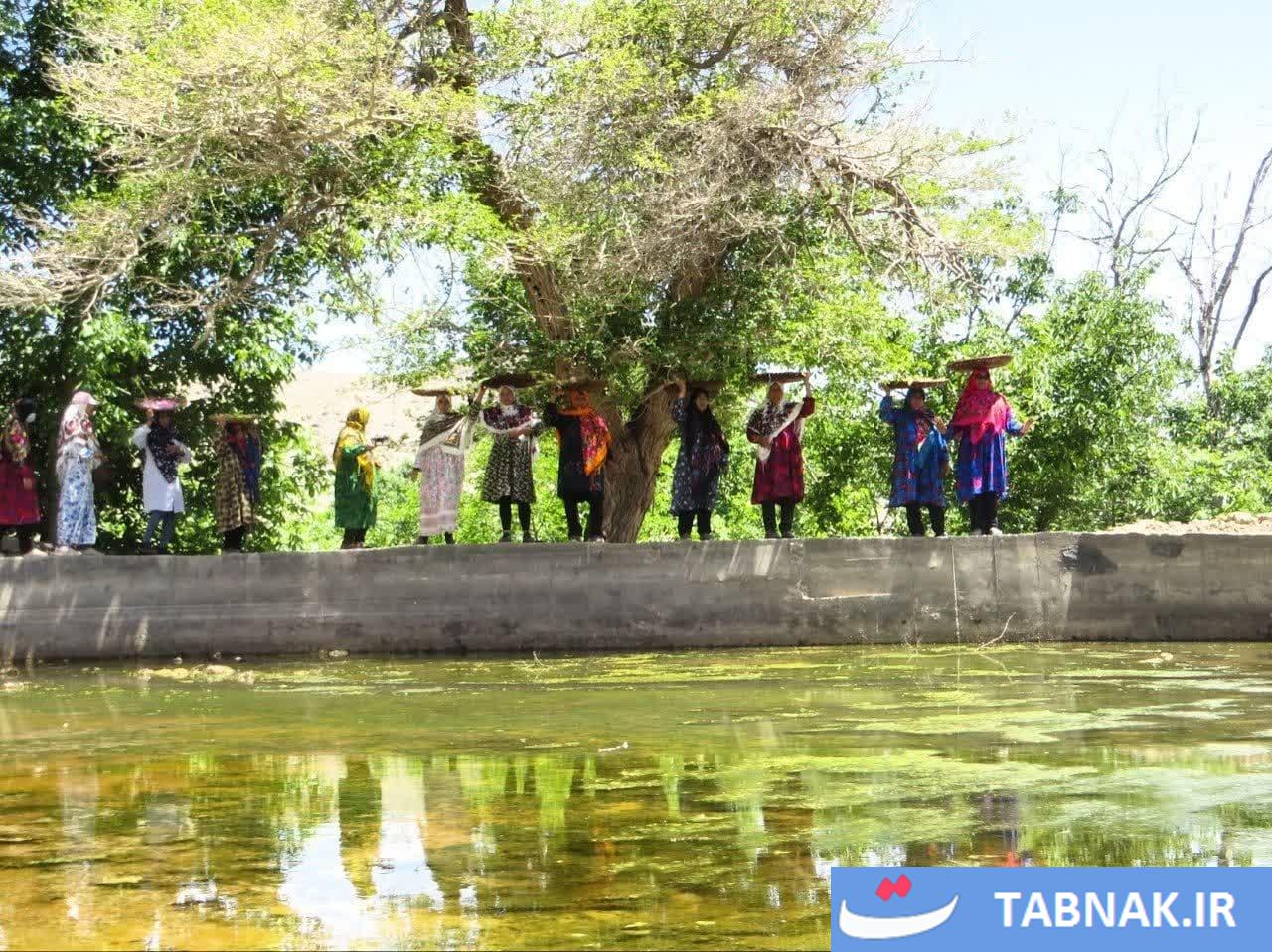 جشنواره ریواس