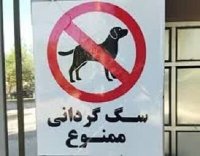 ممنوعیت سگ‌گردانی به مازندران هم رسید