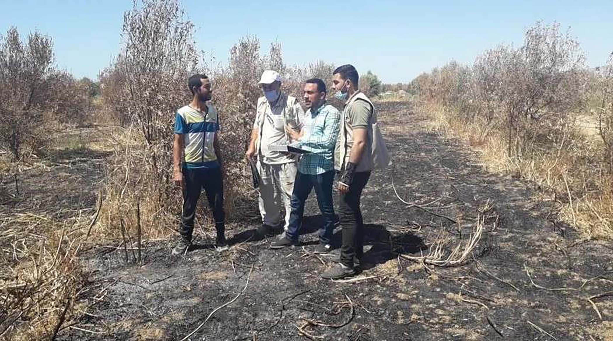 نخست‌وزیر پیشین اسرائیل: یهودیان فلسطینی‌ها را می‌کشند و آن‌ها را می‌سوزانند