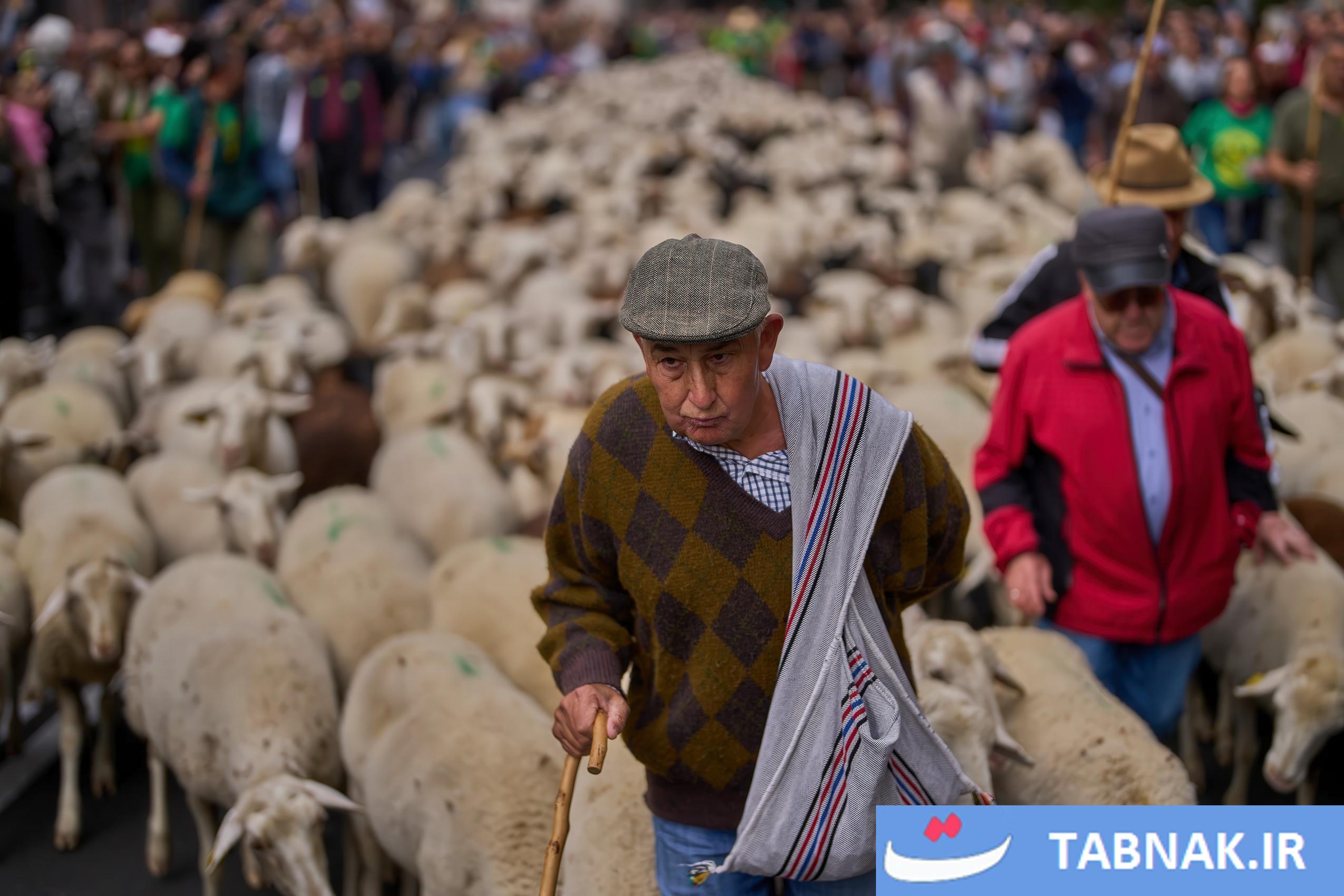 عکس: جشن بازگشت به ریشهها در مادرید