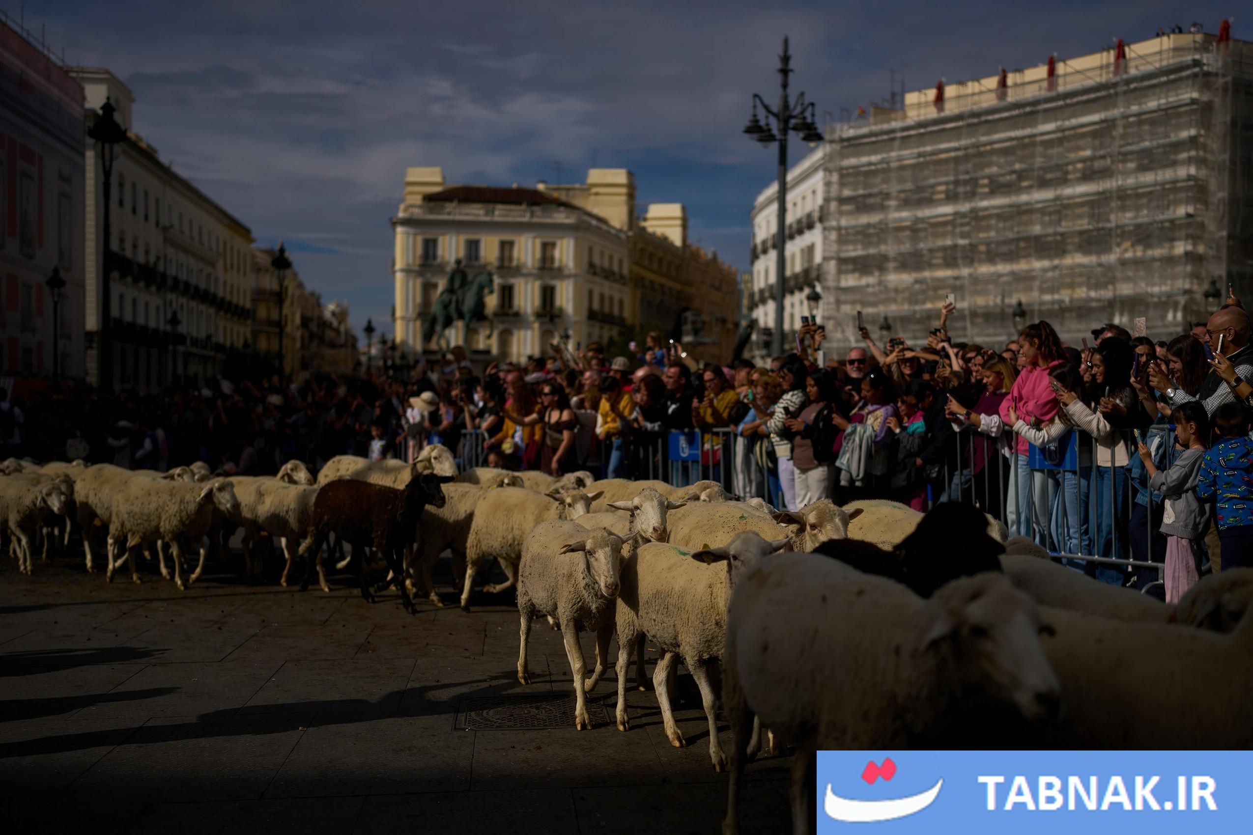 عکس: جشن بازگشت به ریشهها در مادرید