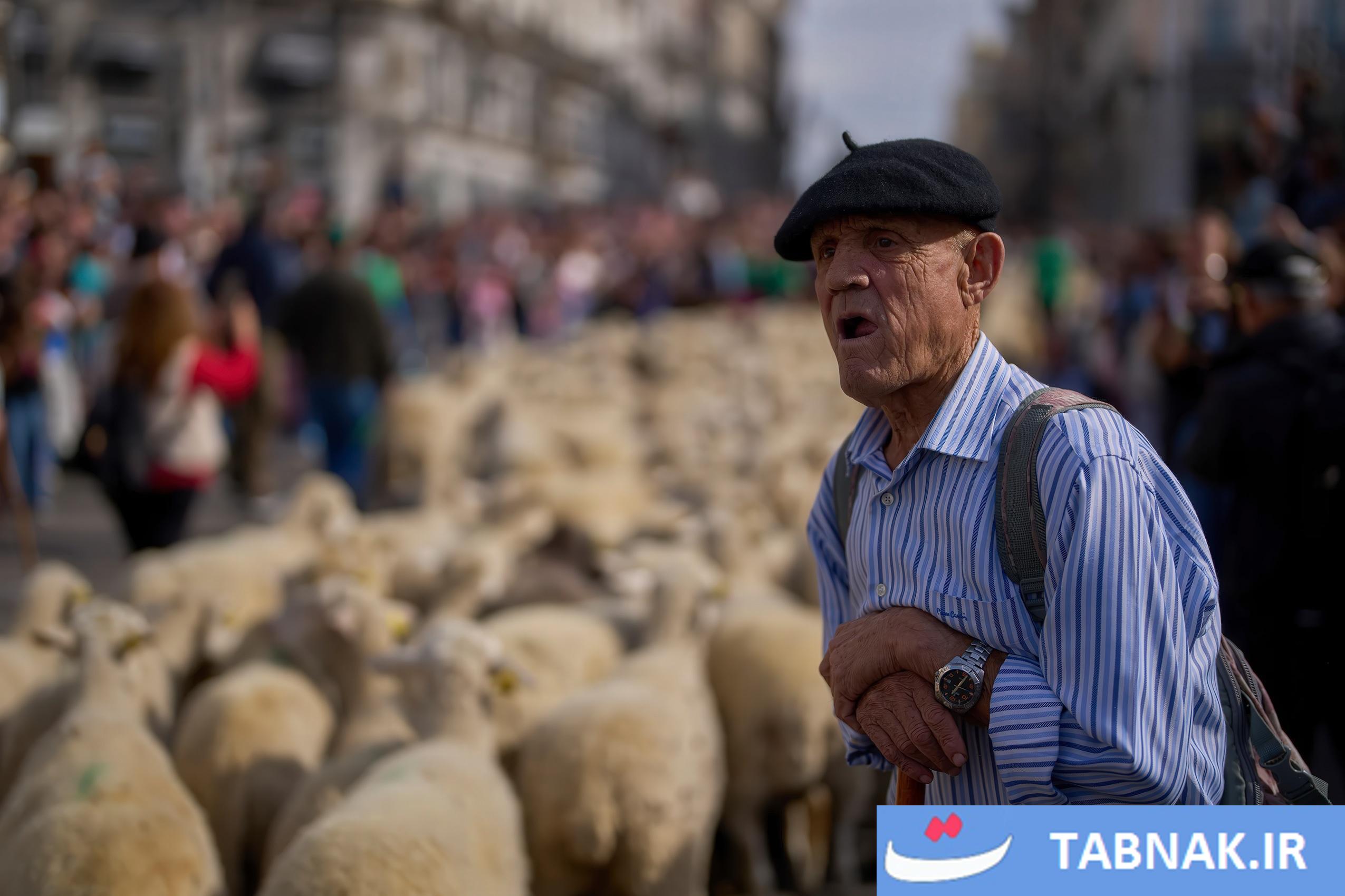 عکس: جشن بازگشت به ریشهها در مادرید