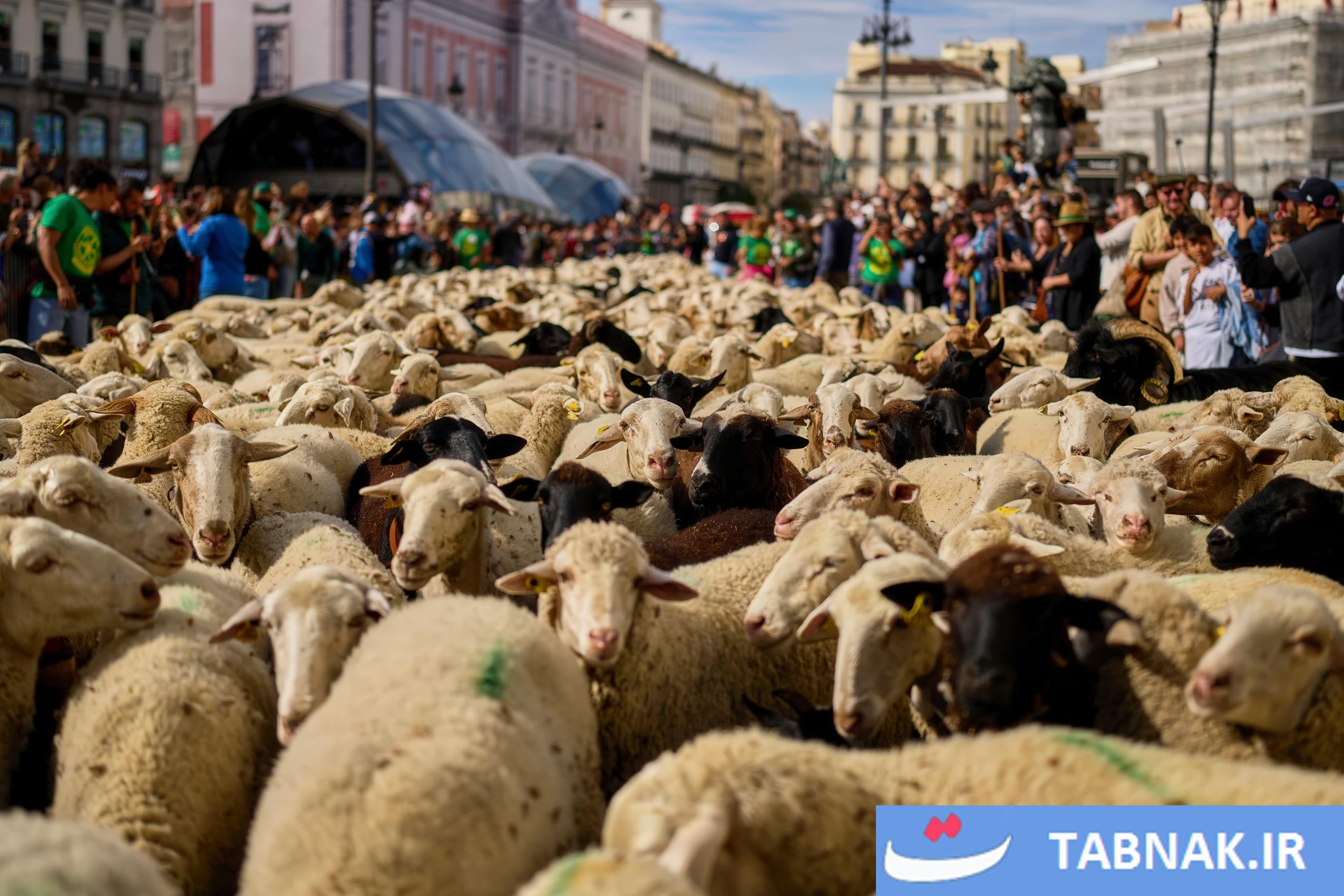 عکس: جشن بازگشت به ریشهها در مادرید