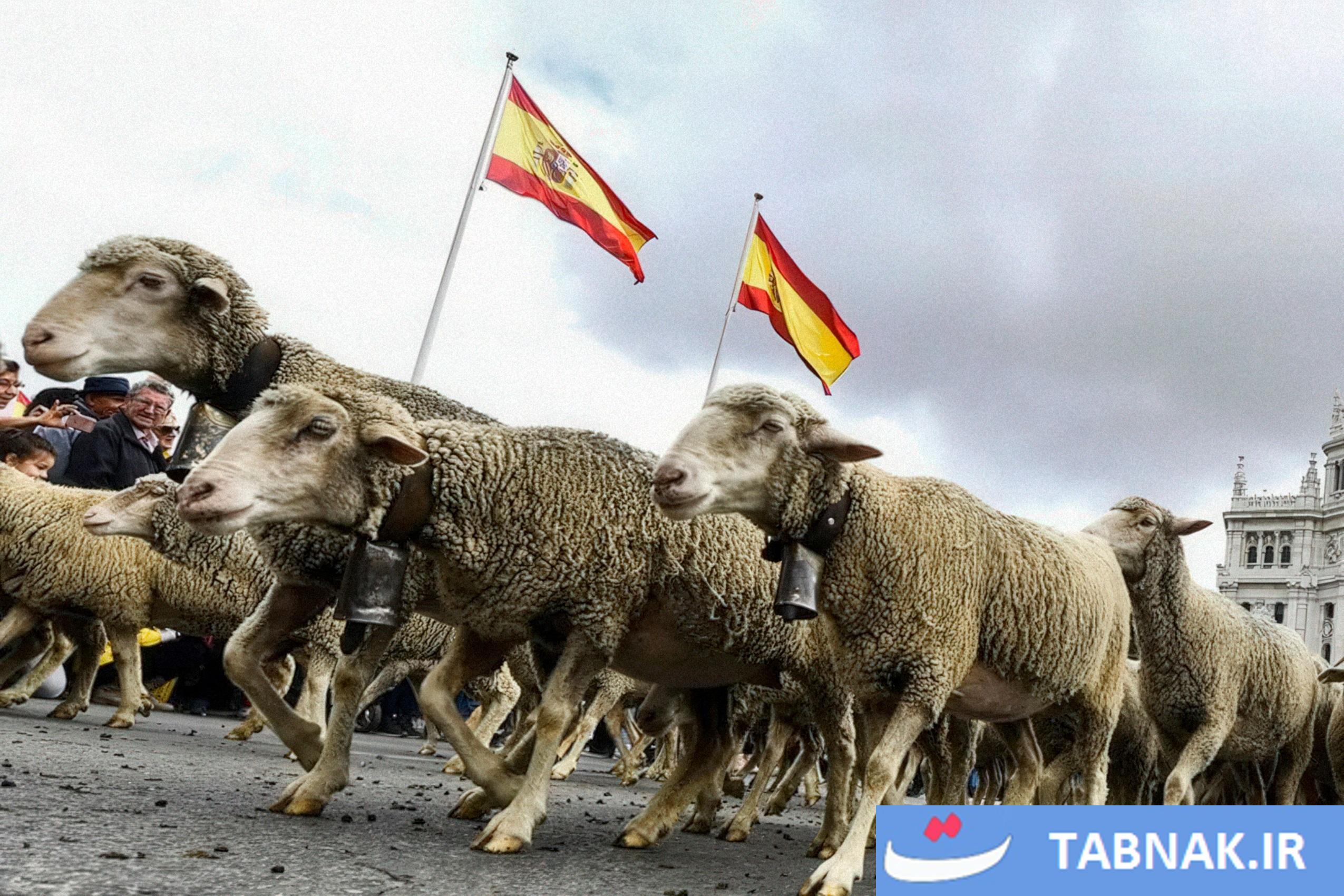 عکس: جشن بازگشت به ریشهها در مادرید