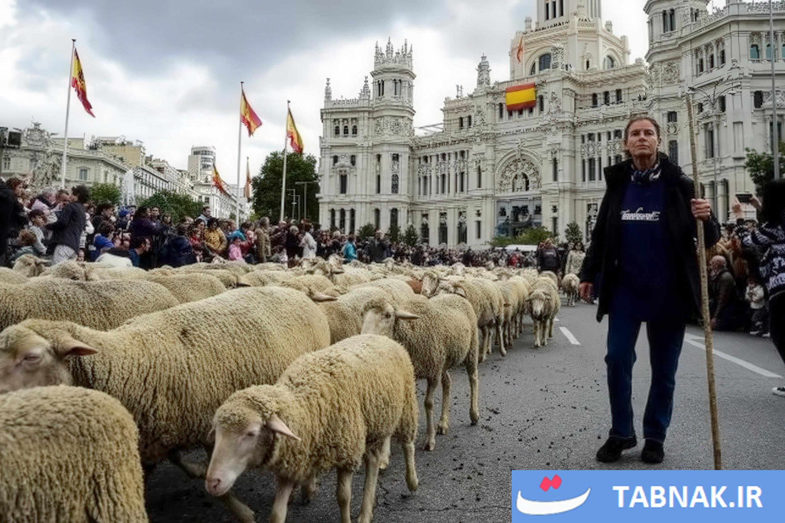عکس: جشن بازگشت به ریشهها در مادرید