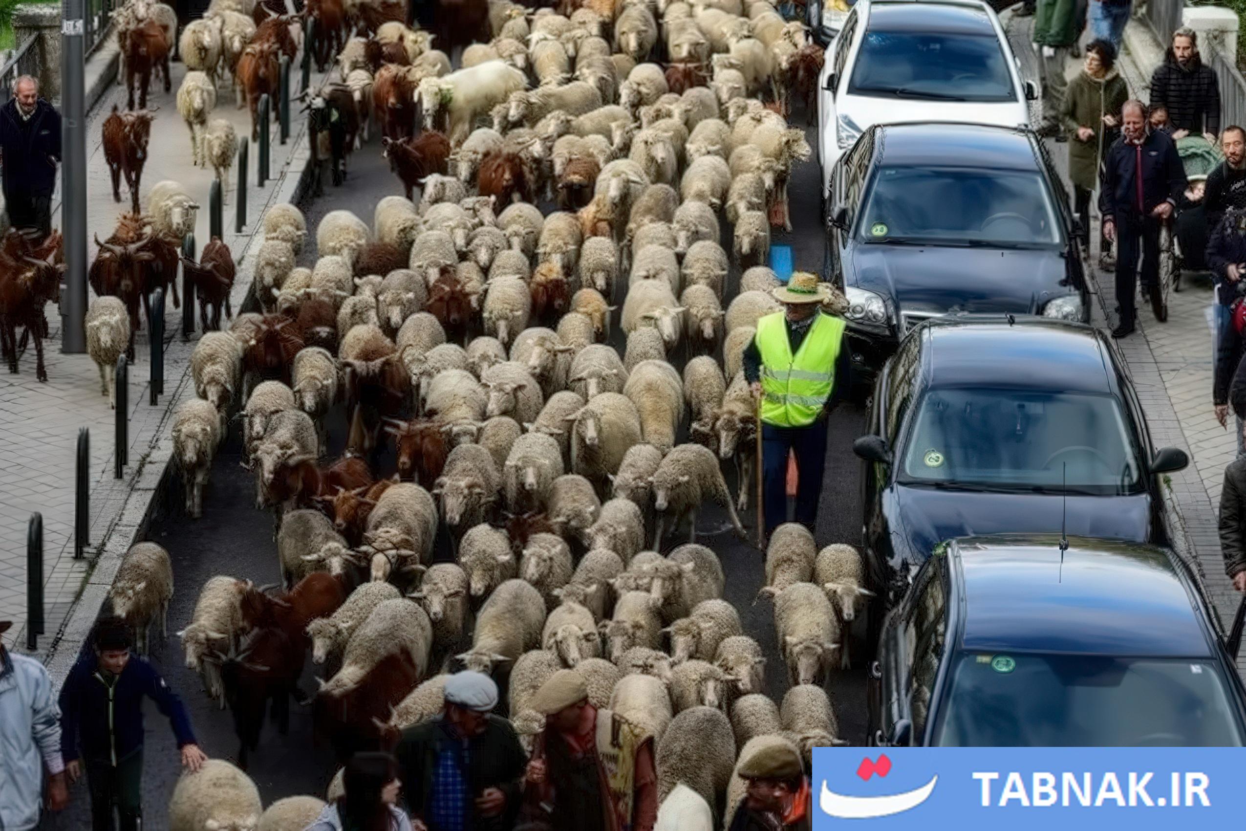 عکس: جشن بازگشت به ریشهها در مادرید