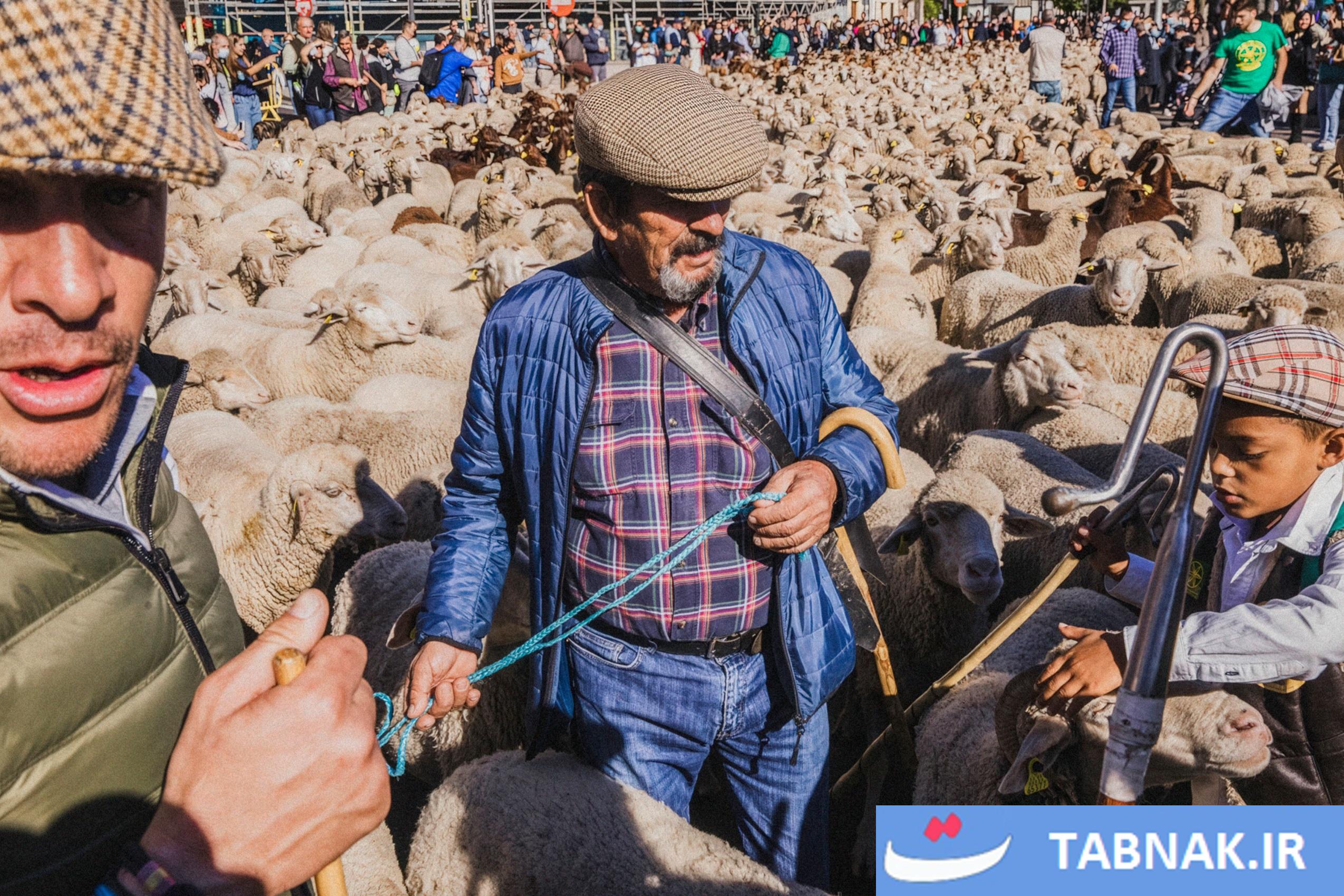 عکس: جشن بازگشت به ریشهها در مادرید