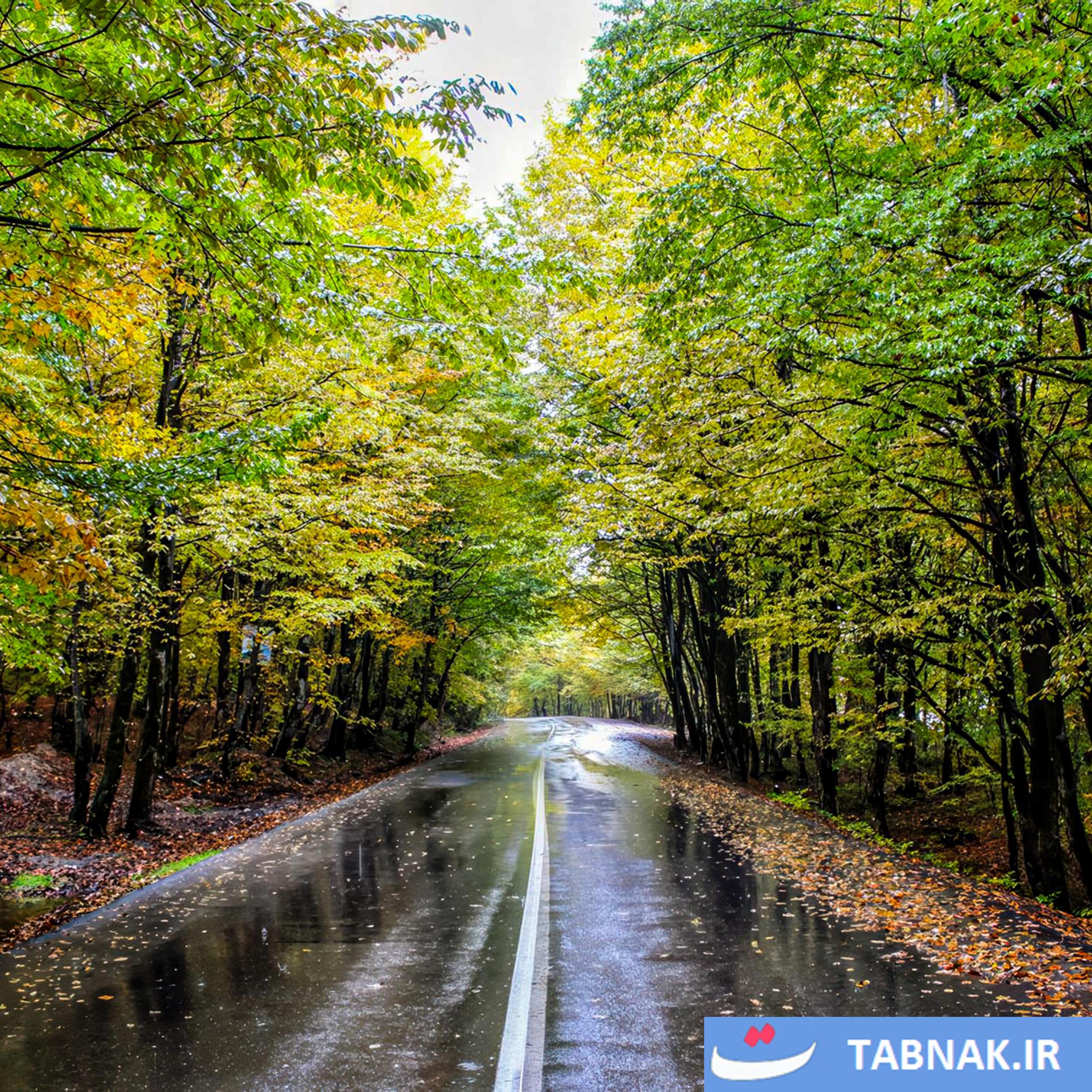 عکس: پاییز به روایت آبپری
