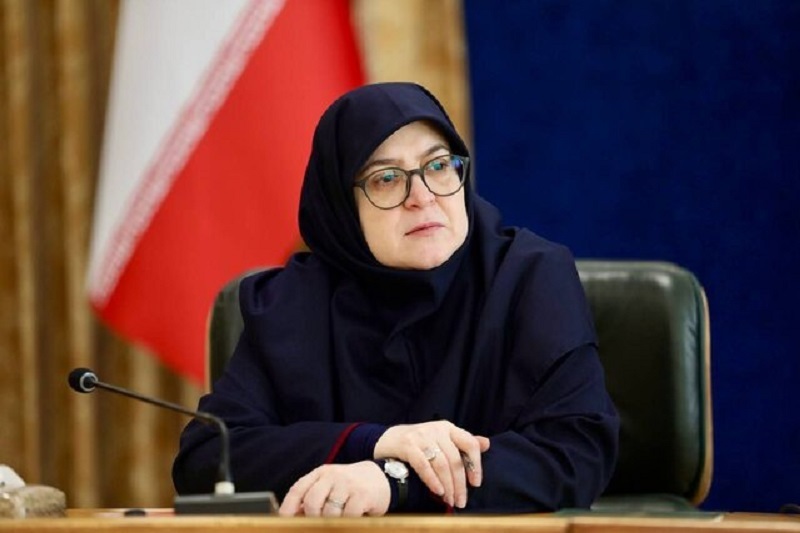 سخنگوی دولت: «اسرائیل» از یهودیت سوءاستفاده میکند