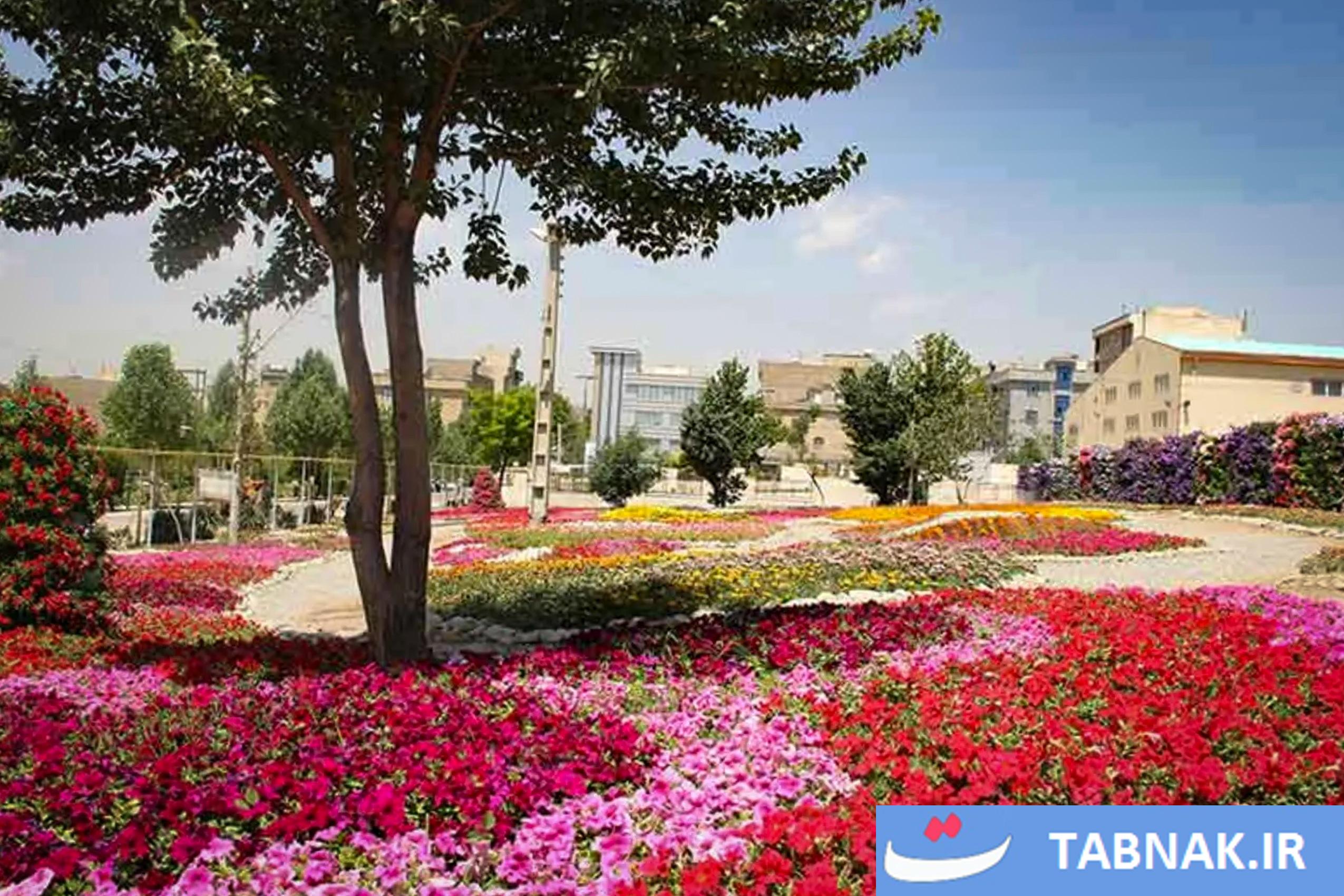 عکس:شازند؛ مقصدی برای دوستداران طبیعت