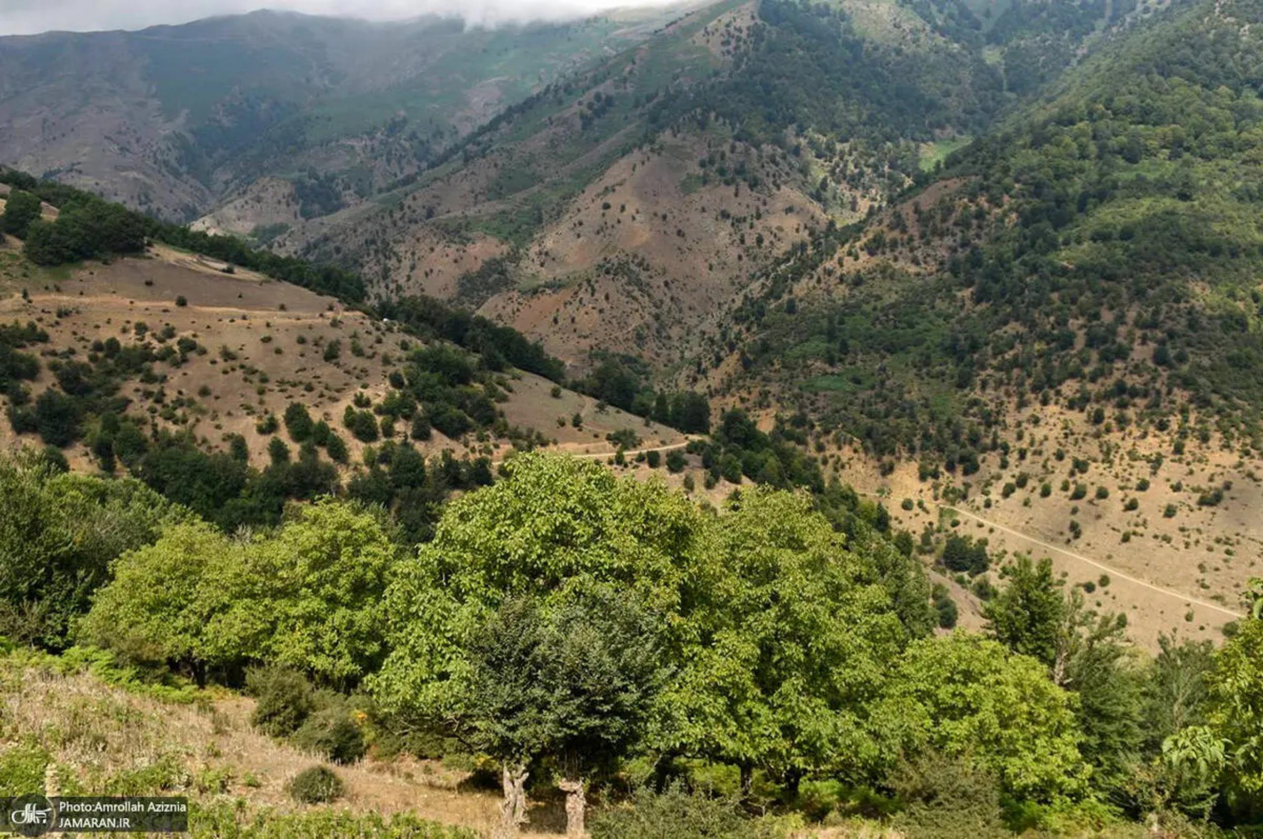 عکس: رودبار؛ بهشت سرسبز گیلان
