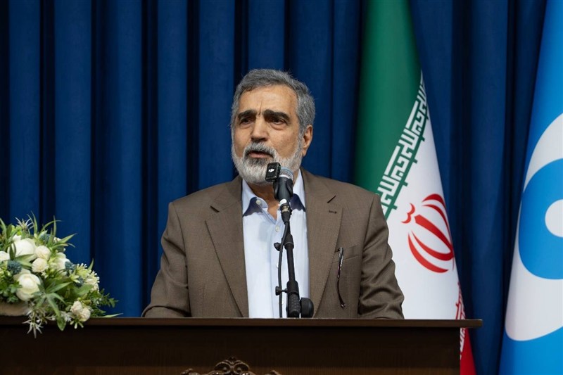 کمالوندی: ایران گزینههای زیادی برای دفاع از خود دارد