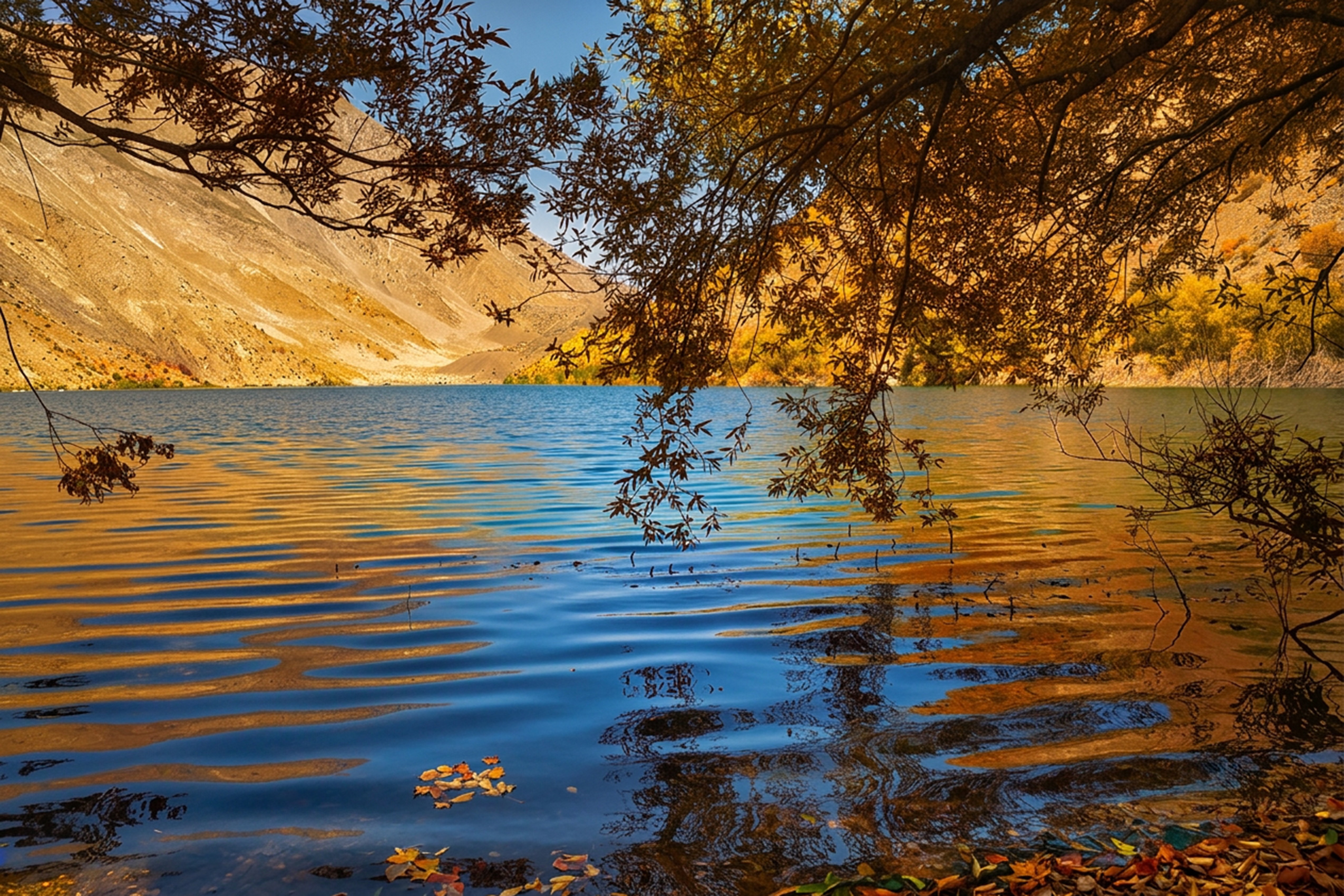 عکس: دریاچه گهر