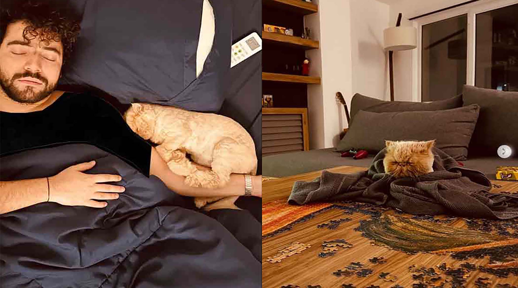 ویدیوی خبرساز شروین حاجی پور از برج نشینی‌اش